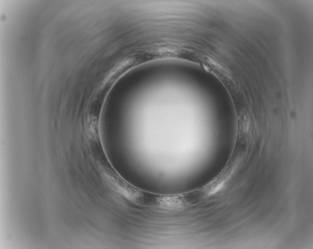 X0000070400141200606161355