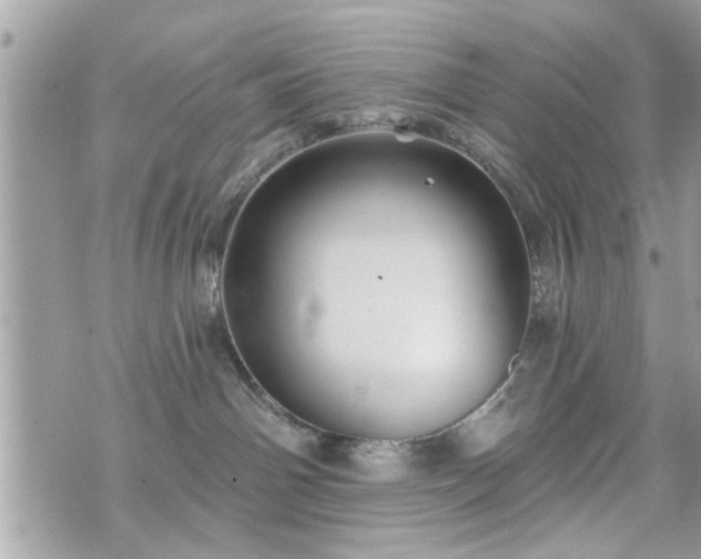 X0000070400142200606161355