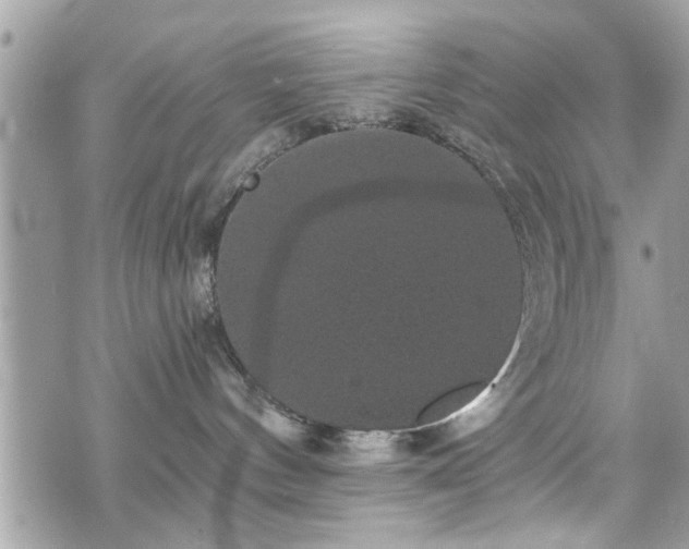 X0000070400144200606161355