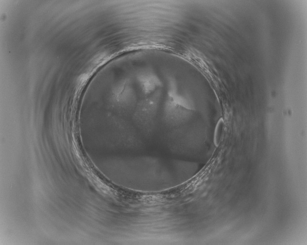 X0000070400145200606161354