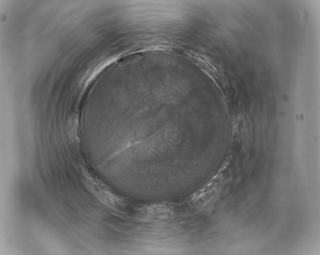 X0000070400146200606161354