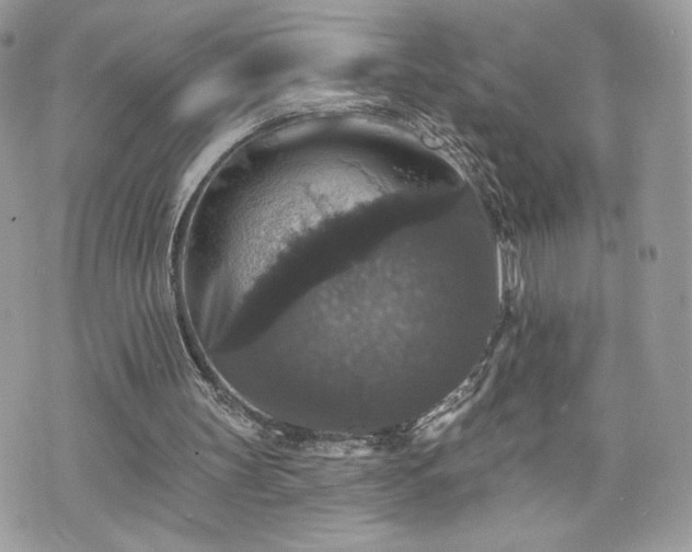 X0000070400147200606161354