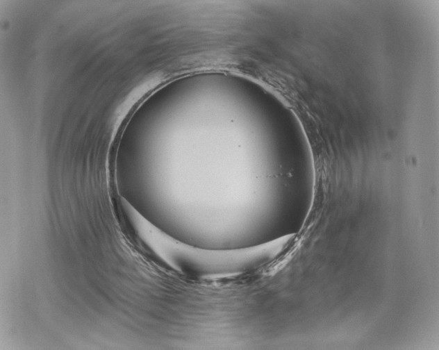 X0000070400148200606161354