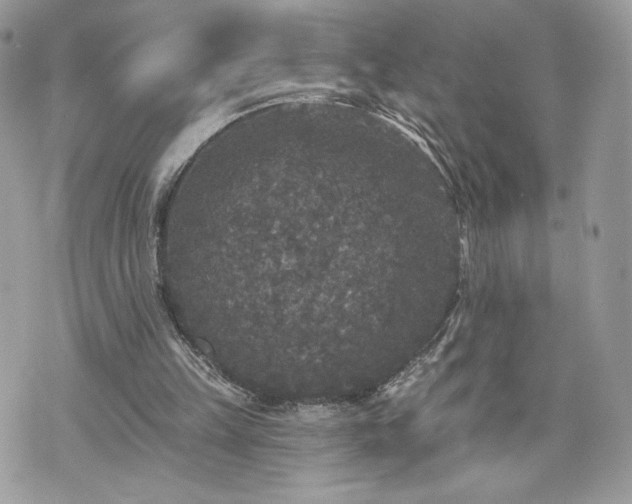 X0000070400149200606161354