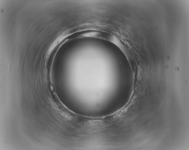 X0000070400150200606161354