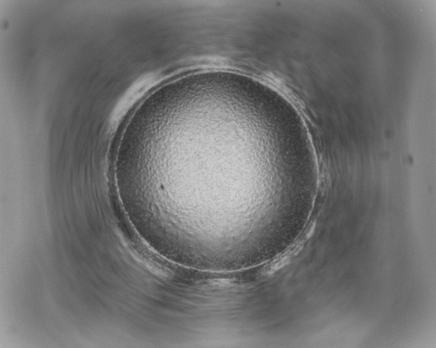 X0000070400151200606161354