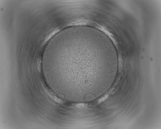 X0000070400153200606161354