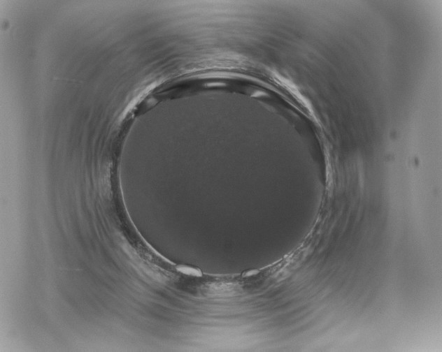 X0000070400154200606161354