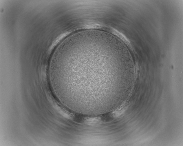 X0000070400155200606161354