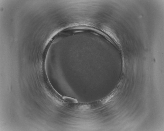 X0000070400156200606161354