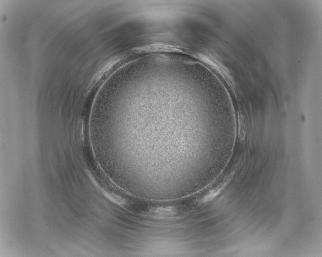 X0000070400157200606161354