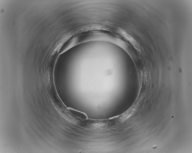 X0000070400158200606161354