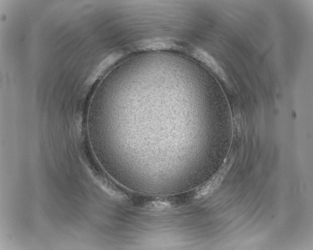 X0000070400159200606161354