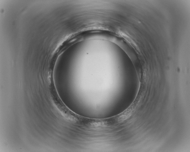 X0000070400160200606161354