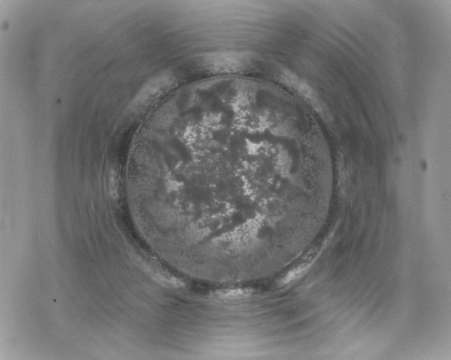 X0000070400161200606161354