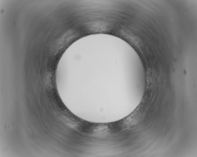 X0000070400162200606161354