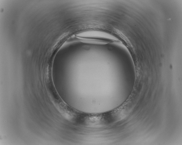 X0000070400163200606161354