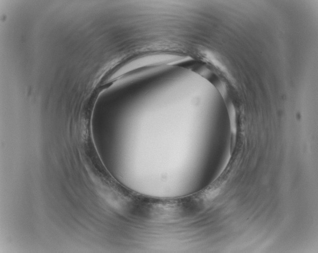 X0000070400164200606161354