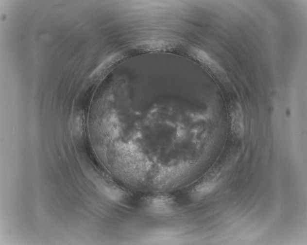 X0000070400165200606161354