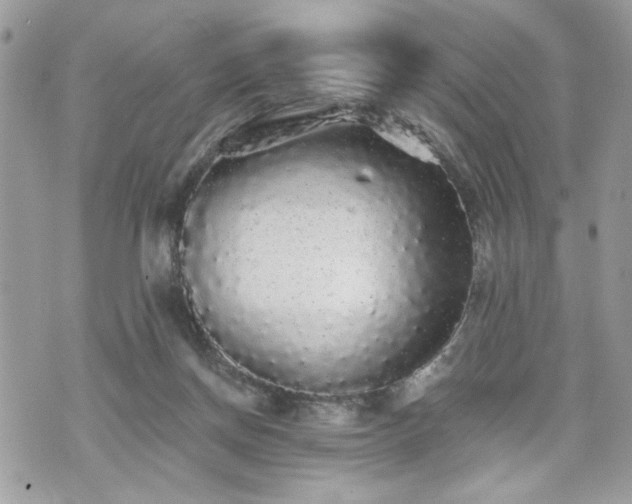 X0000070400166200606161354