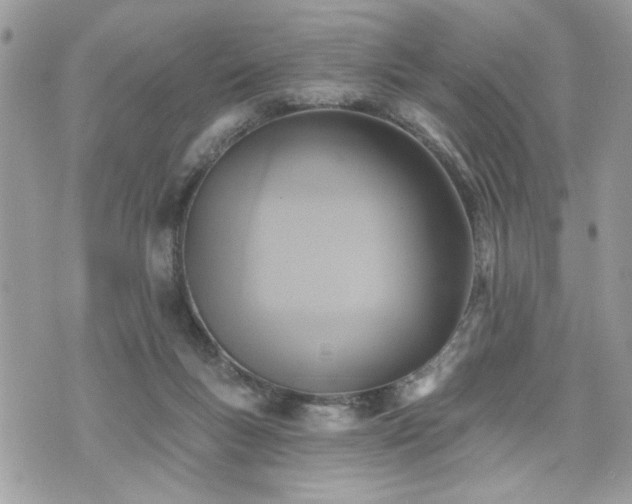 X0000070400167200606161354