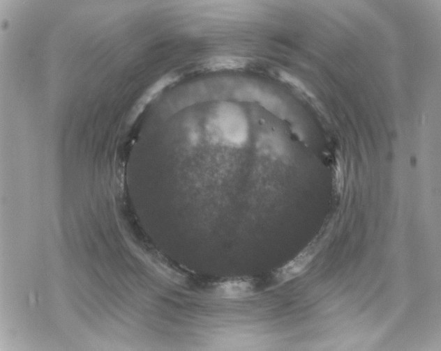 X0000070400168200606161354