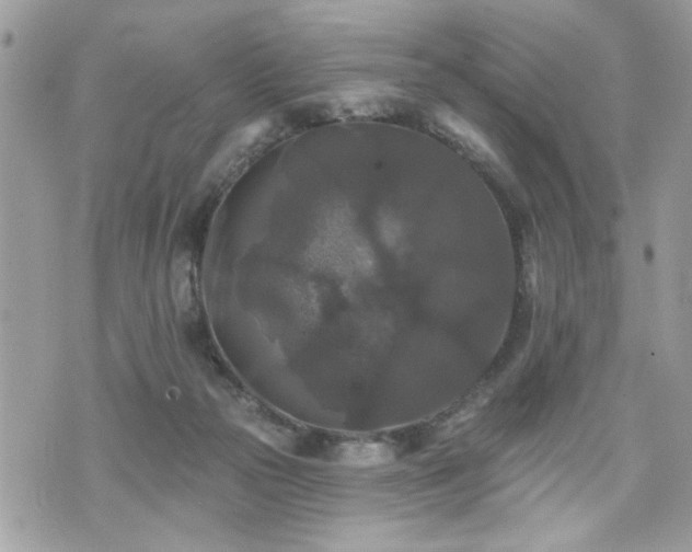 X0000070400169200606161354