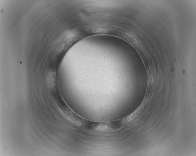 X0000070400171200606161355