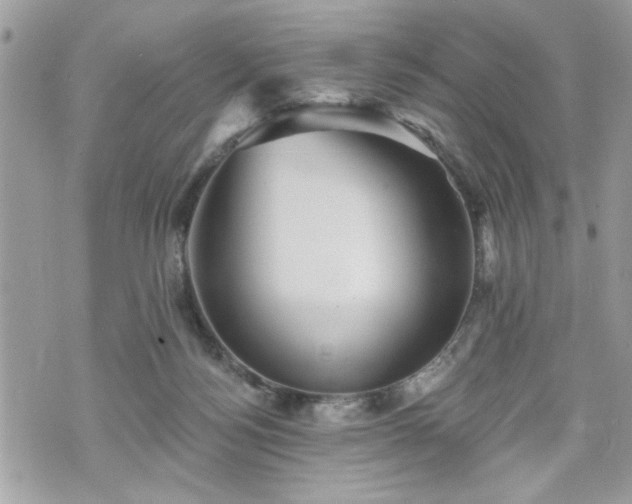 X0000070400172200606161355