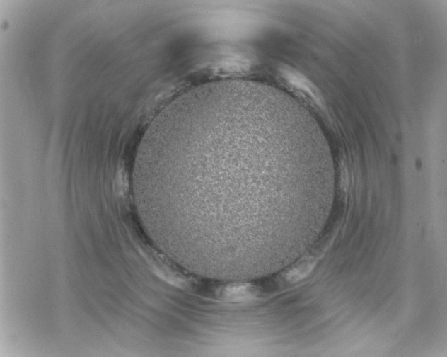 X0000070400173200606161355