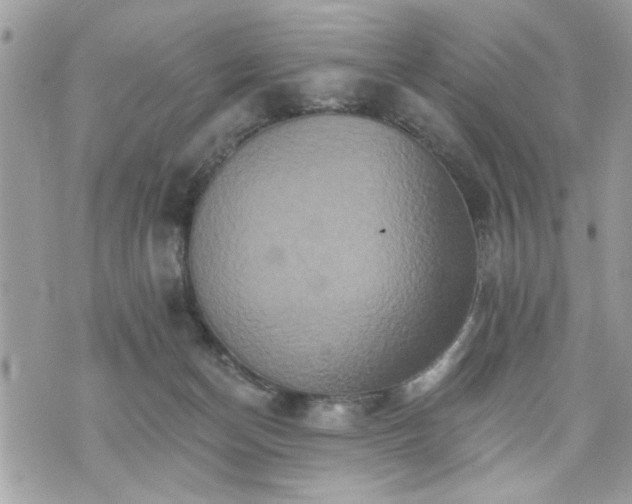 X0000070400174200606161355