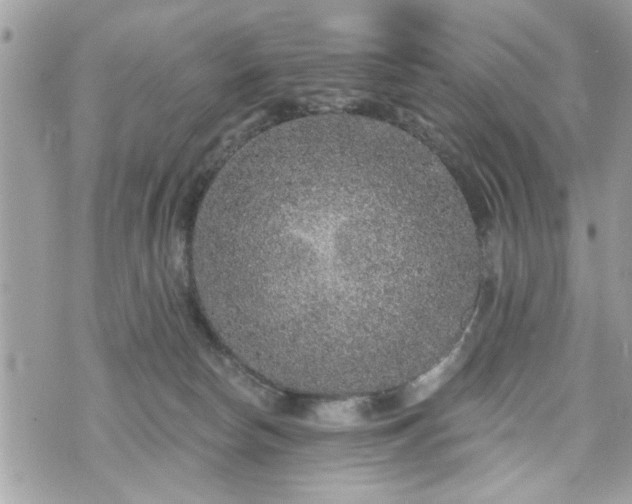 X0000070400178200606161355