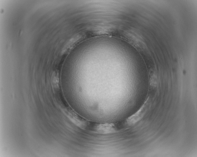 X0000070400179200606161355