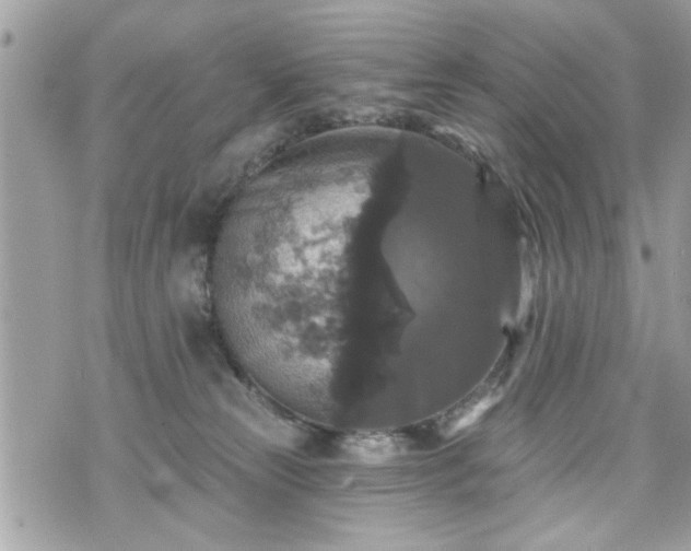 X0000070400181200606161355