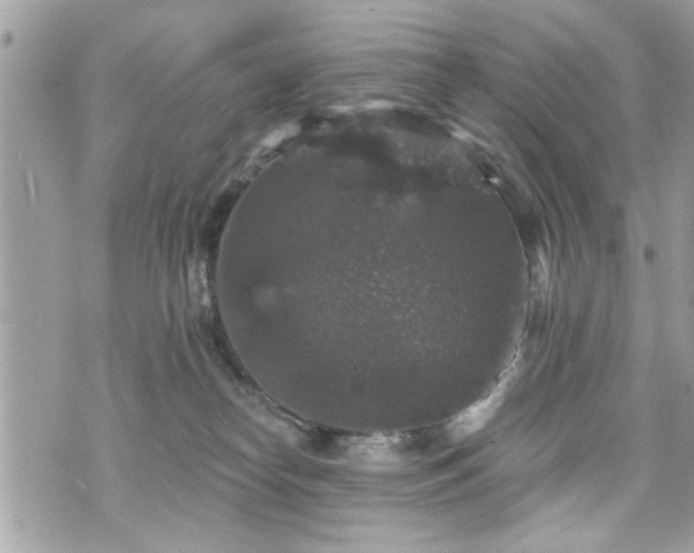 X0000070400182200606161355