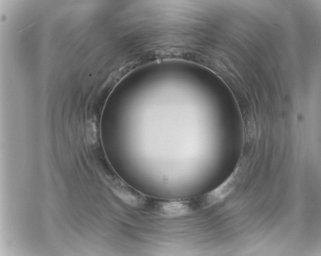 X0000070400183200606161355