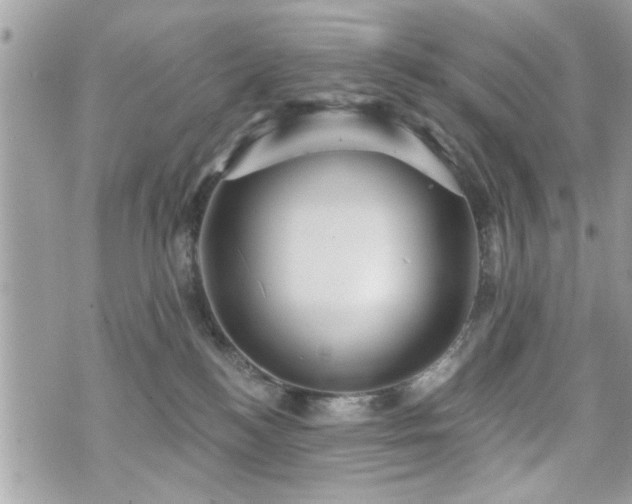 X0000070400184200606161355