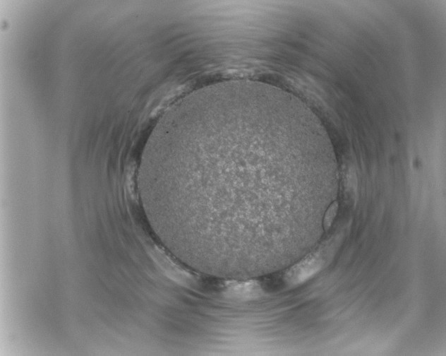 X0000070400185200606161355