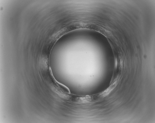 X0000070400188200606161355