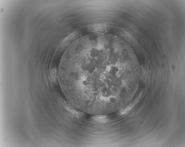 X0000070400189200606161355