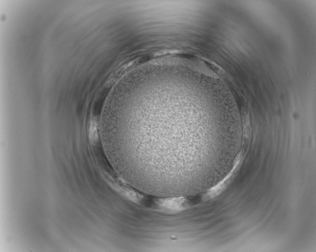 X0000070400191200606161355