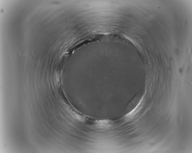 X0000070400192200606161355