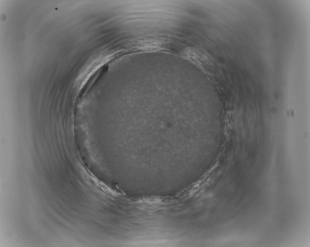 X0000070400194200606161354