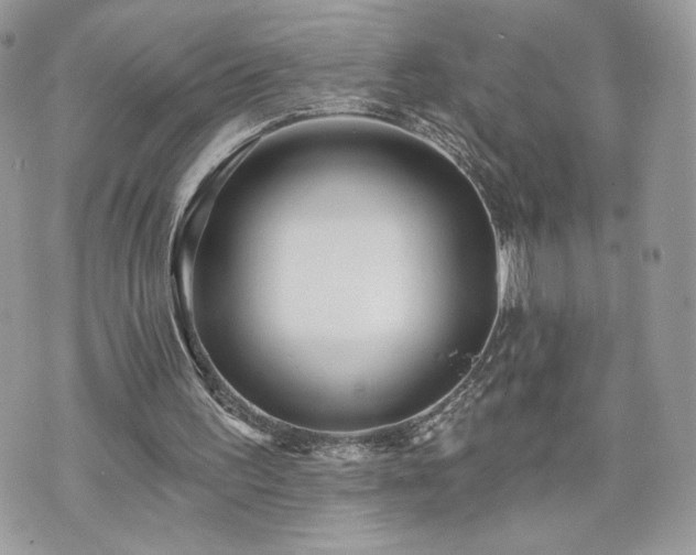 X0000070400195200606161354