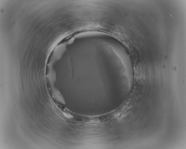 X0000070400196200606161354