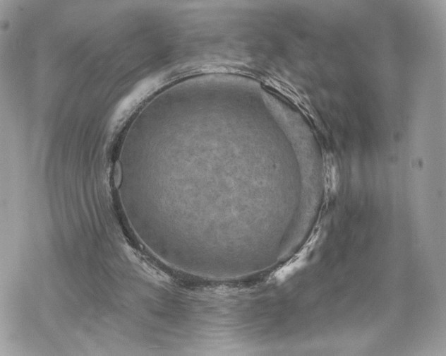 X0000070400197200606161354