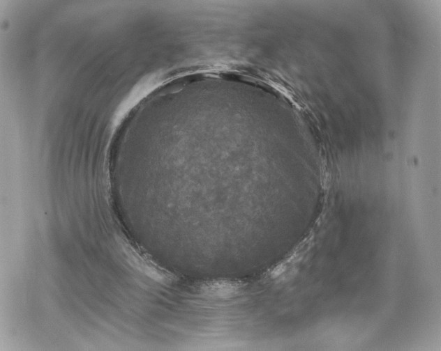 X0000070400198200606161354