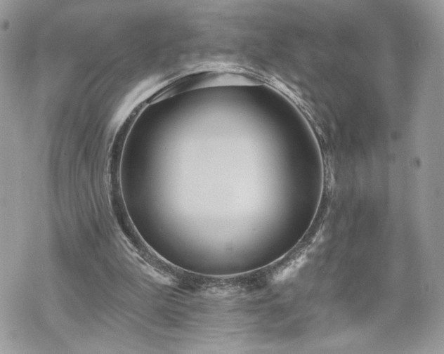 X0000070400199200606161354