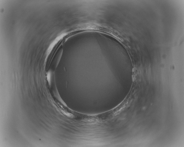 X0000070400200200606161354