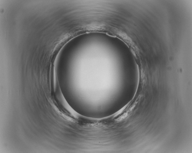 X0000070400201200606161354